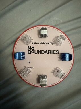 NEW No Boundaries Mini Claw Clip Set